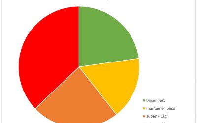 Resultado Estudios Navidad 19/20