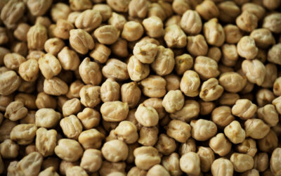 ¿Sabías que las legumbres son unos de los alimentos principales en la celebración de Halloween?