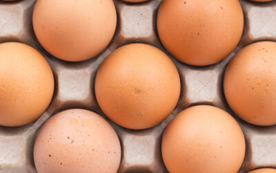 ¿Sabías qué es seguro comer pollo y huevo a pesar de la gripe aviar?